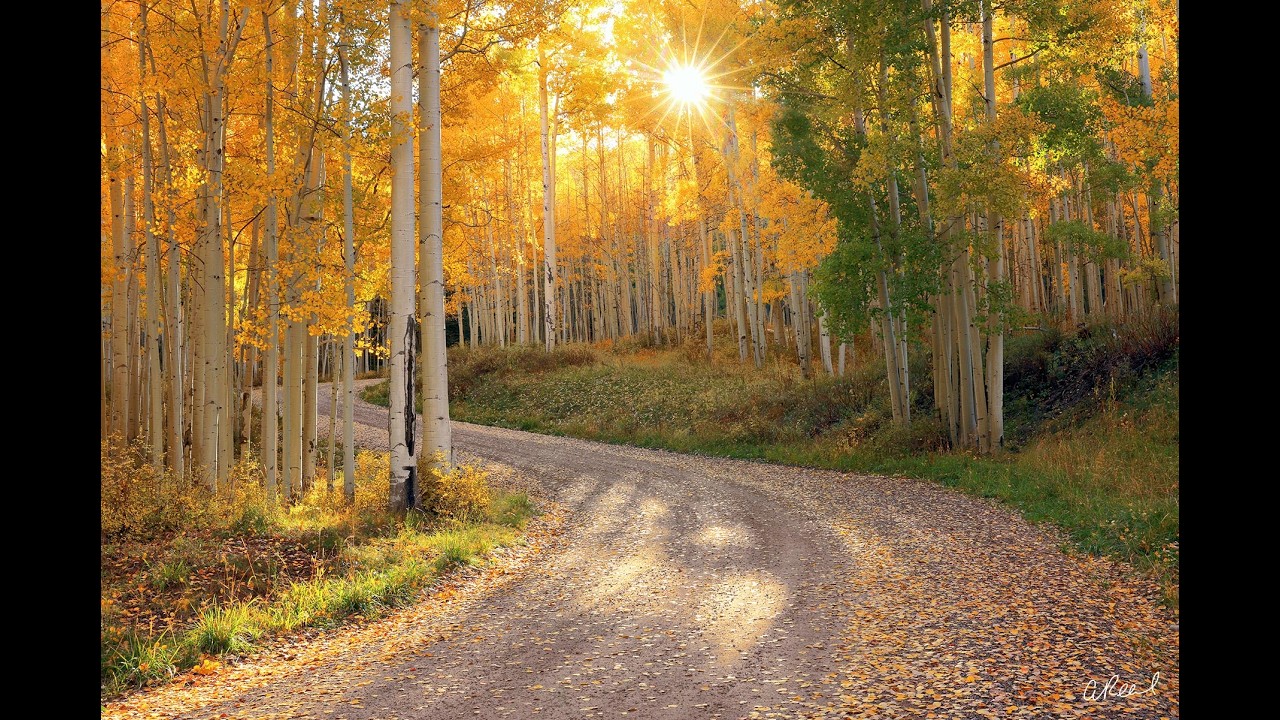 Fighting Over The Earth — Ras Livvid