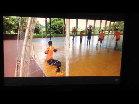 academia de goleiros mga