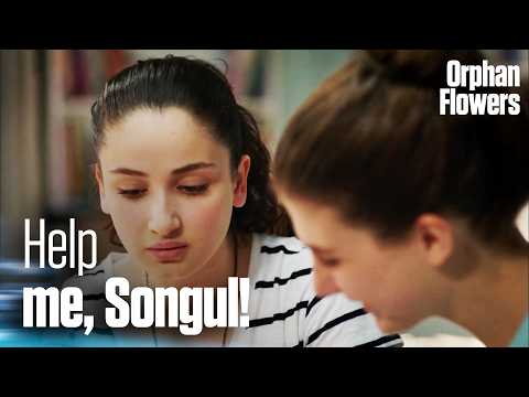 ¡Kader le pide ayuda a Songul antes del examen! | Kirgın Çiçekler | Flores huérfanas