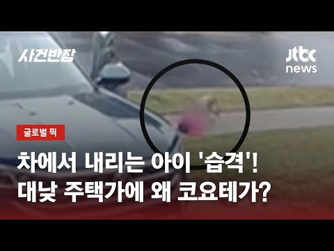 [영상] 대낮에 차에서 내리던 2살 아이 습격한 코요테