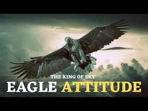 The Eagle Mentality - Best Motivational Video ! #eaglemotivation #eagles #motivational #viralvideo
