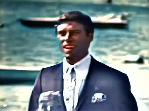 See You In September  - The Happenings