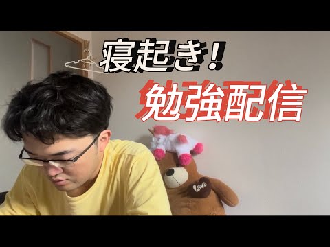 勉強配信