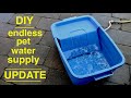 DIY Endless Dog Water Supply UPDATE