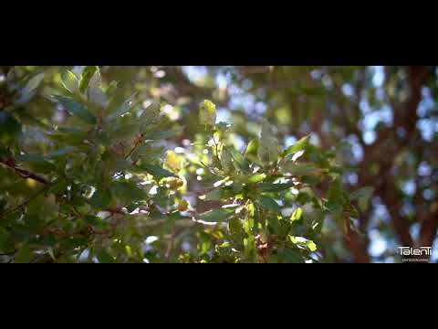 Cruise Alu | Ludovica serafini + Roberto Palomba