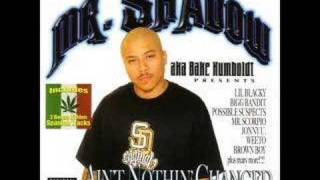 Mr. Shadow - Gangsters in Kalifornia