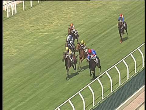 Galoppo 25/05/2017 - 2ª corsa