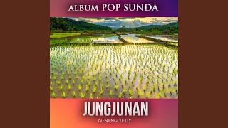 Download lagu Jungjunan mp3 Download lagu Jungjunan mp3
