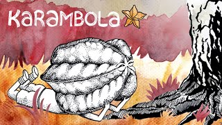 ЧЕГО НАДО УПОТРЕБИТЬ, ЧТОБЫ ТАКОЕ СОТВОРИТЬ? Karambola