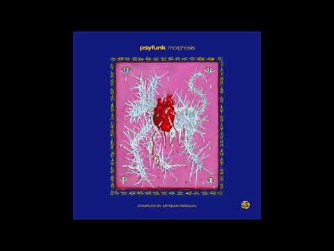 Pillotti feat Joana Leonel - The Sun