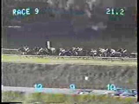1988 Las Cienegas Handicap