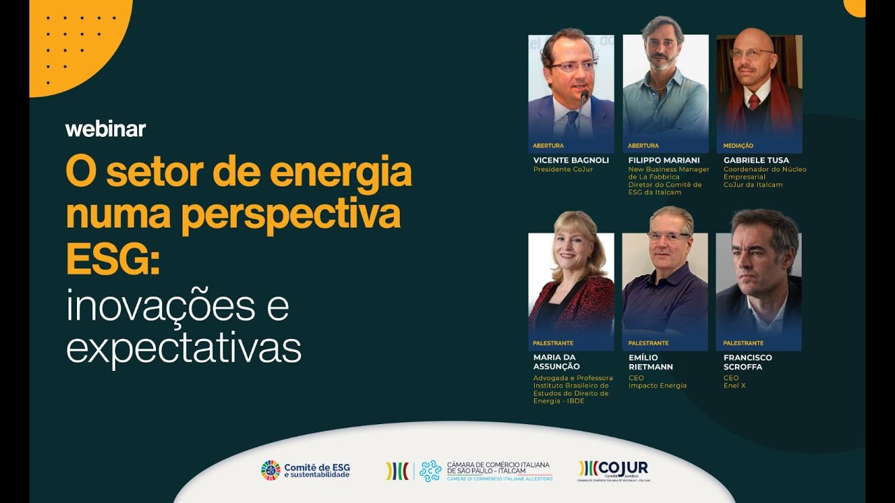 Webinar: O setor de energia numa perspectiva ESG: inovações e expectativa