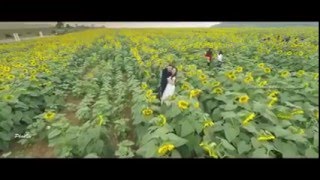 preview picture of video 'Ngắm đồi hoa hướn dương bạt ngàn từ trên cao - Video: Phan Vũ'
