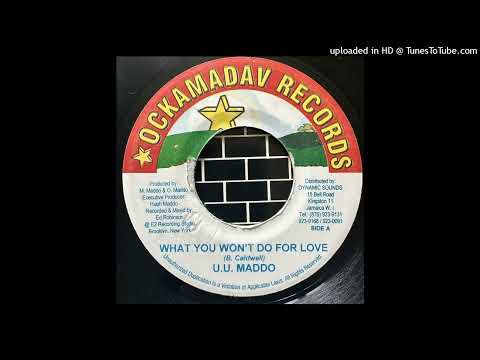 U U Madoo - What You Won't Do For Love