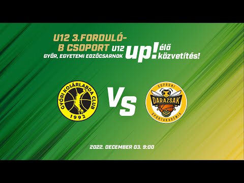 Győri KC Kenguruk - Sportdarázs