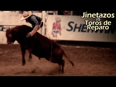 Compilatorio Jineteo de Toro 02 - Adictos al Peligro - Las mejores Jinetes y los mejores Toros
