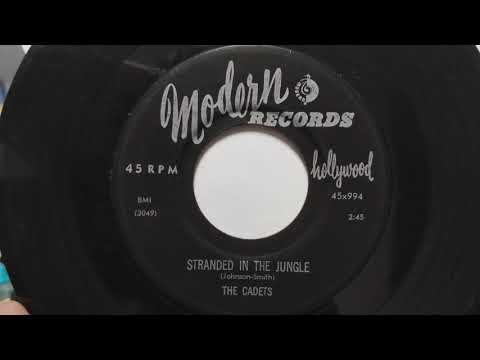 Original 45rpm sound!! The Cadets – Stranded In The Jungle / I Want You