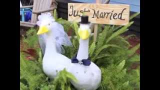 preview picture of video 'Blue Goose on Main Weddings'