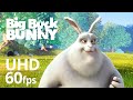 Big Buck Bunny 60fps 4K - Official Blender Foundation Short Film Big Buck Bunny 60fps 4K - Official Blender Foundation Short Film