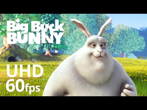 Big Buck Bunny 60fps 4K – Official Blender Foundation Short Film