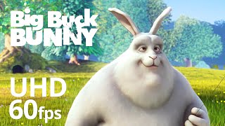 Big Buck Bunny 60fps 4K – Official Blender Foundation Short Film