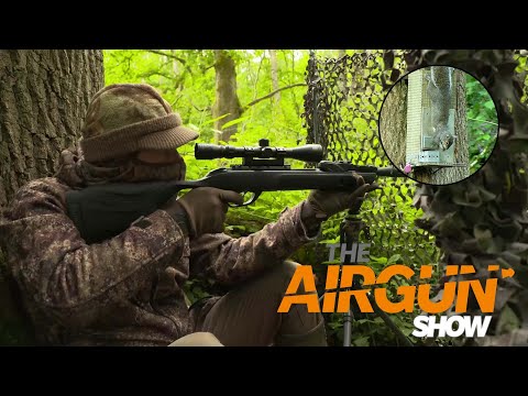 The Airgun Show – pest control with a spring gun, PLUS the Daystate Huntsman Safari…