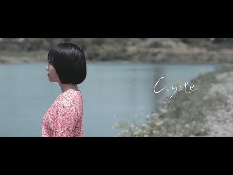 シャムキャッツ - Coyote (Music Video)