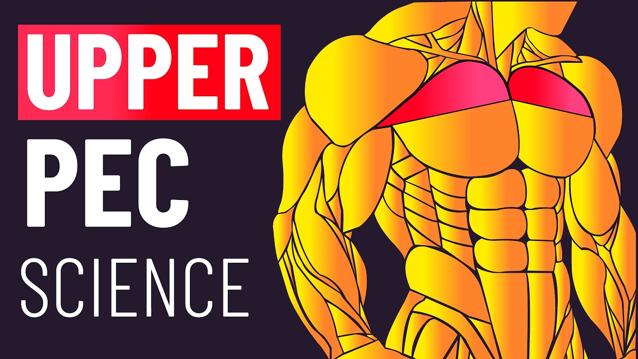 Blow up Your Upper Chest With These Exercises (Science Based)