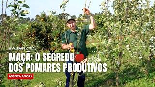 Miniatura do vídeo
