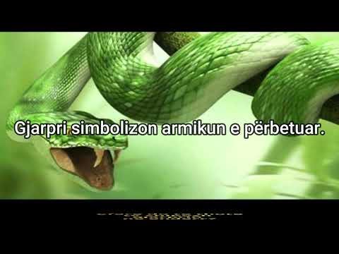 Çfarë do të thotë të shikosh gjarprin në ëndërr?