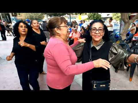 New Year's Eve joy in the Plaza de Armas of Torreón.