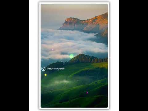 Mornig happy whatsapp video status download 2021