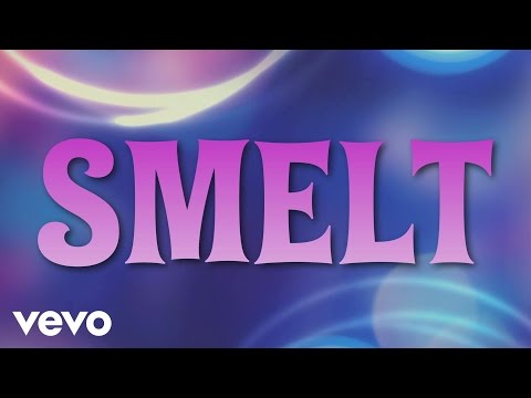 Femke Meines - Smelt (Lyric video)