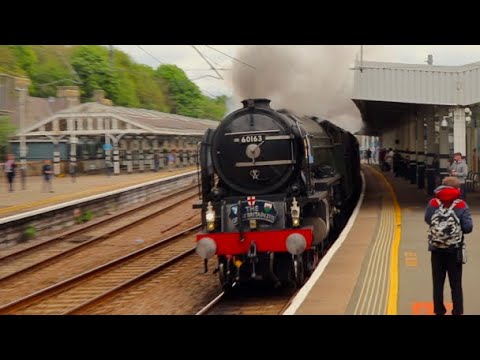 60163 Tornado bombs past Durham at full pelt! | Great Britain XVII Day 8 + 7029 Clun Castle | 3/5/25