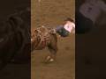 Brittany Pozzi Tonizzi has a huge wreck barrel racing #fypシ #horse #ohno #equestrian #youtube