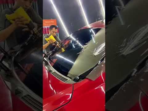 Kaca Film Nexgard Premium