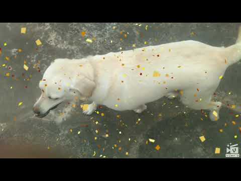 Fenny love #vizmato!