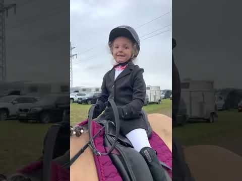 Bist Du schonmal eine Führzügelklasse gestartet? 😍 #reitsport #pferde #pferd