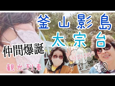 Ryoko Coreia⑨KOR/ENGSUB Uma viagem solo pela Coreia❗️Um acidente ocorreu quando eu estava em um trem turístico em Taejongdae, Yeongdo em Busan www