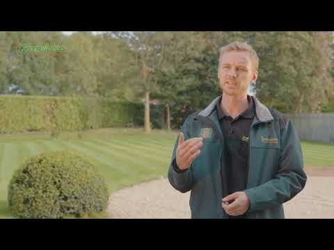 Chafer Grubs & Leatherjackets: The Damage They Do & How to Get Rid of Them