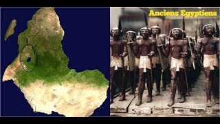 Tous les Noirs sont-ils des descendants des anciens égyptiens ?