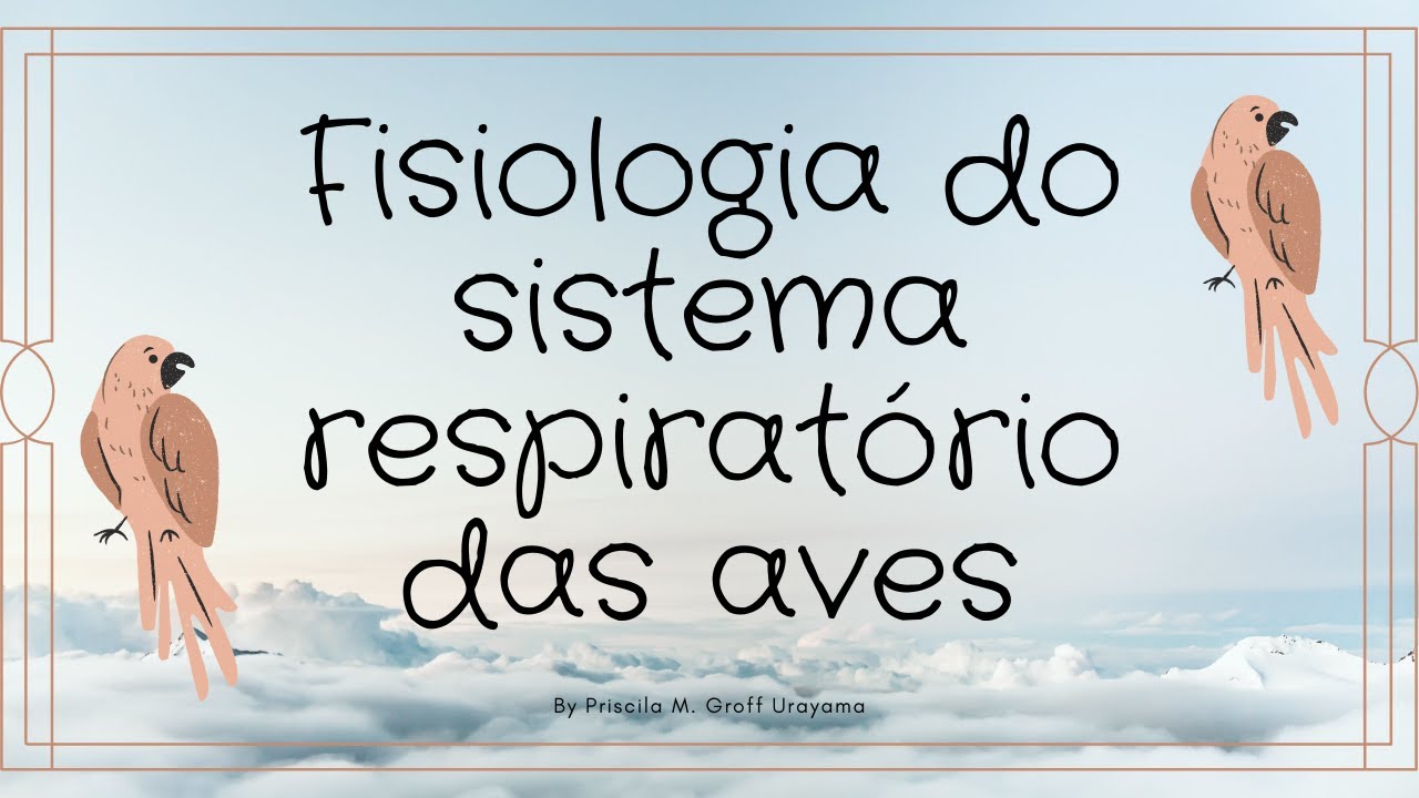 Como as aves respiram: Fisiologia do sistema respiratório das aves