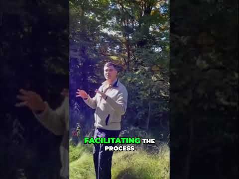 Reviving Healthy Forests: Our Guide to Biodiversity Restoration