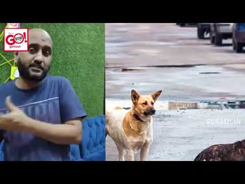 STRAY DOGS IN VARIOUS AREAS OF GULBARGA | APPEAL TO ADMINSTRATION TO TAKE STRICT ACTION