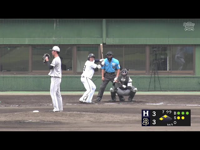 【ファーム】勝ち越し成功!! バファローズ・茶野篤政 レフトへ犠牲フライを放つ!! 2025年6月7日 オリックス・バファローズ 対 くふうハヤテベンチャーズ静岡