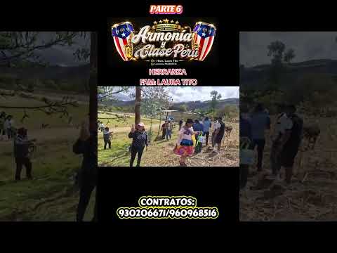 SANTIAGO P6 HERRANZA FAM: LAURA TITO POMACOCHA -ACOBAMBA-HUANCAVELICA