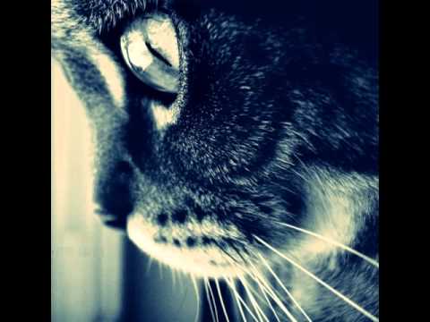 Daniel Dubb-Got You Stuck