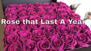 Real Roses That Last A Year Update|Venus ET Fleur|🌹🌹💕