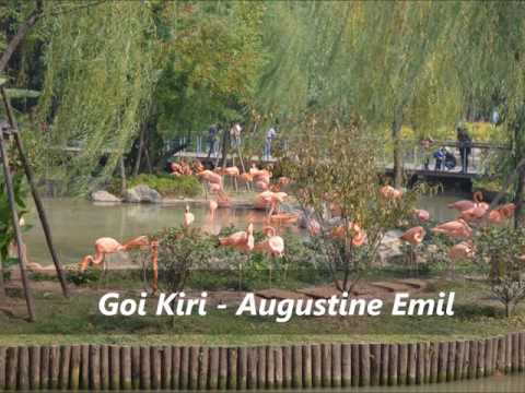 Augustine Emil  - Goi Kiri ( PNG Music)