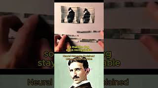 Here Is How Neural Network Work... | #neuralnetworks #chatgpt #usa #newyork #physics #demo #science